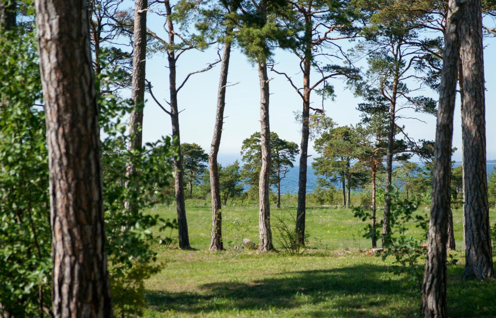 Gotlands Idrottscenter Vandrarhem Faroesund Ruang foto